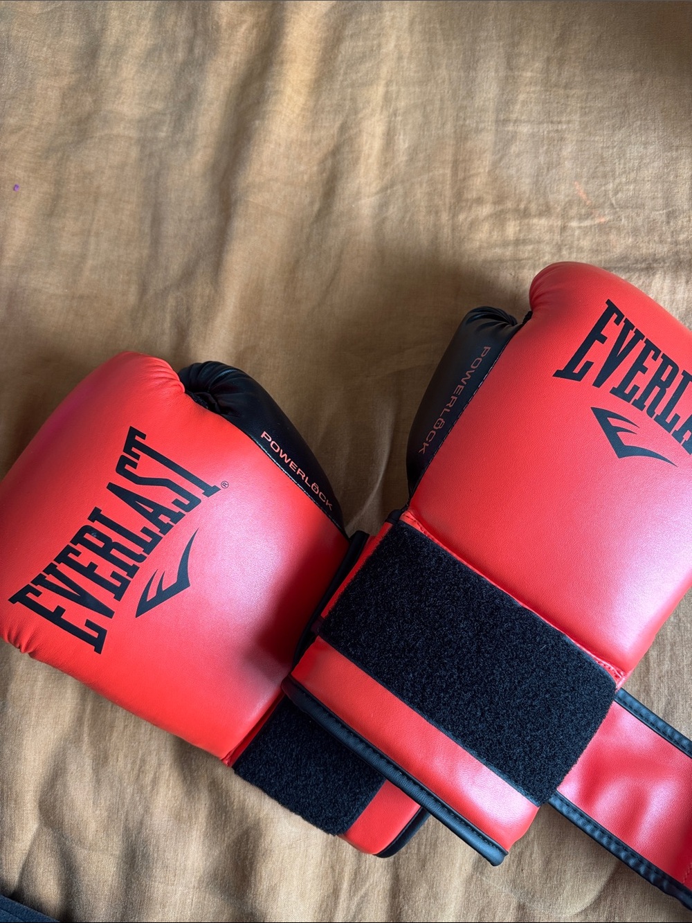 Everlast Red and Black Training Boxing Gloves